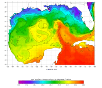 Gulf with Gulf of America Contoured Field thumbnail