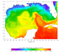 Gulf with Gulf of America Colored Field thumbnail